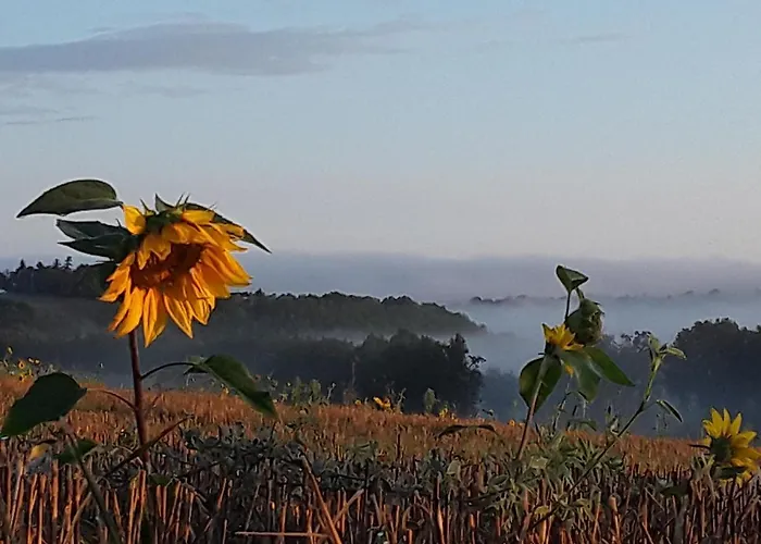 Bastida De Beata Panzió 3*