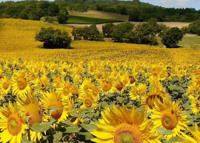 Panzió Bastida De Beata 3*