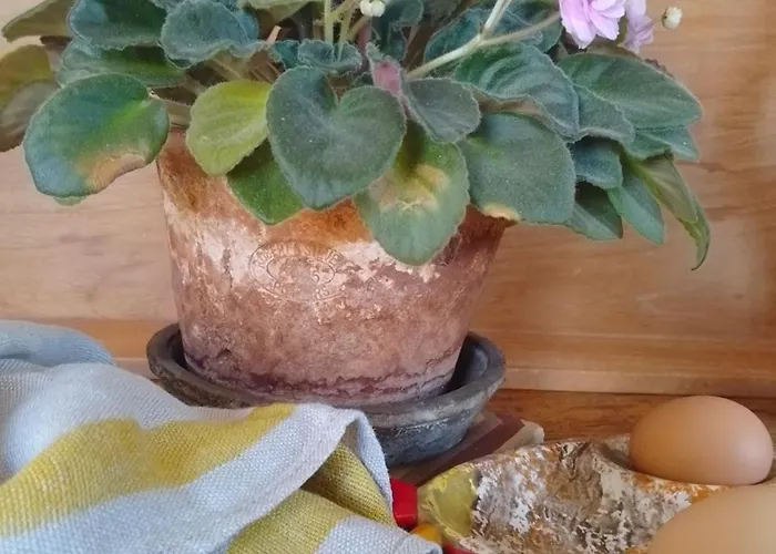 Bastida De Beata Panzió Noailles