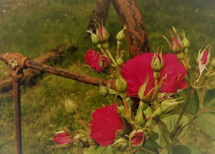 Panzió Bastida De Beata Noailles