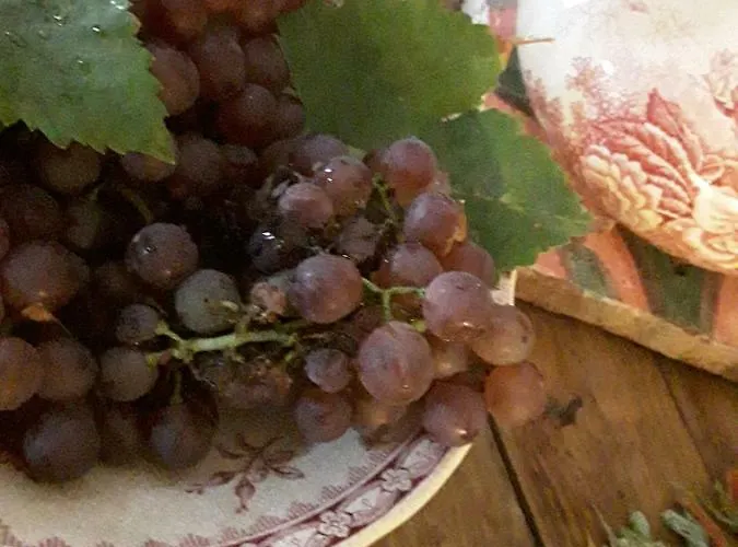 Panzió Bastida De Beata 3*