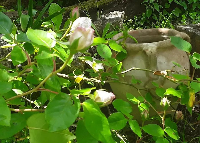 Panzió Bastida De Beata 3*