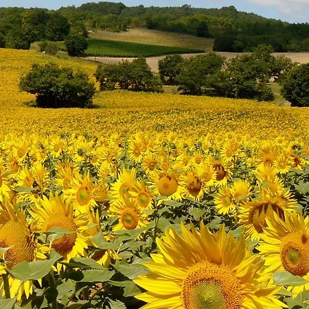 Bed & Breakfast Bastida De Beata 3*