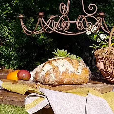 Bed & Breakfast Bastida De Beata