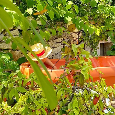 Bastida De Beata Bed & Breakfast