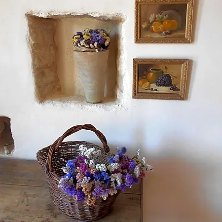 Bastida De Beata Bed & Breakfast Noailles (Tarn)