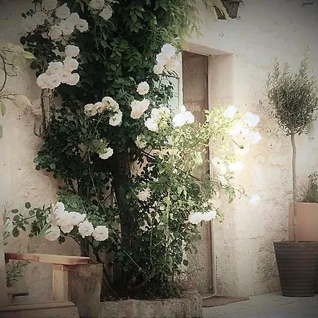 Bastida De Beata Bed & Breakfast Noailles (Tarn)