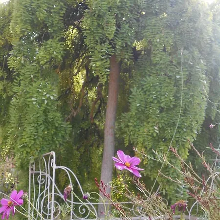 Bed & Breakfast Bastida De Beata