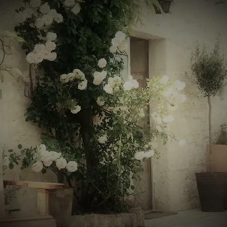 Bastida De Beata