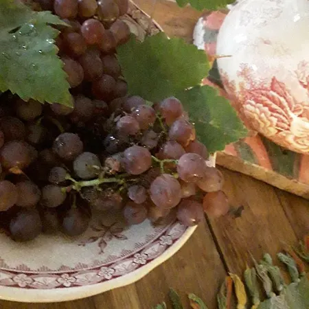 Bed & Breakfast Bastida De Beata 3*