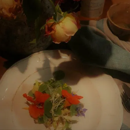 Bed & Breakfast Bastida De Beata Noailles (Tarn)