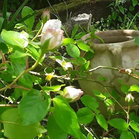 Bed & Breakfast Bastida De Beata 3*