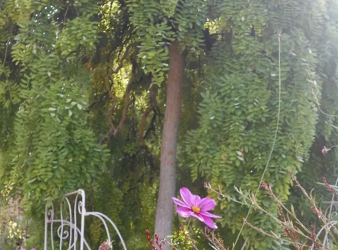 Bed & Breakfast Bastida De Beata